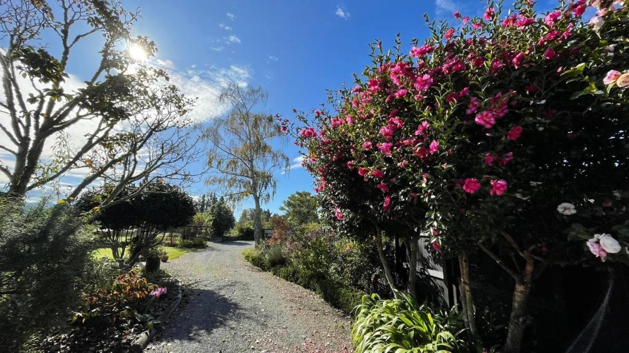 Green Tree Haven Bnb-Riwaka Tasman Bay المظهر الخارجي الصورة