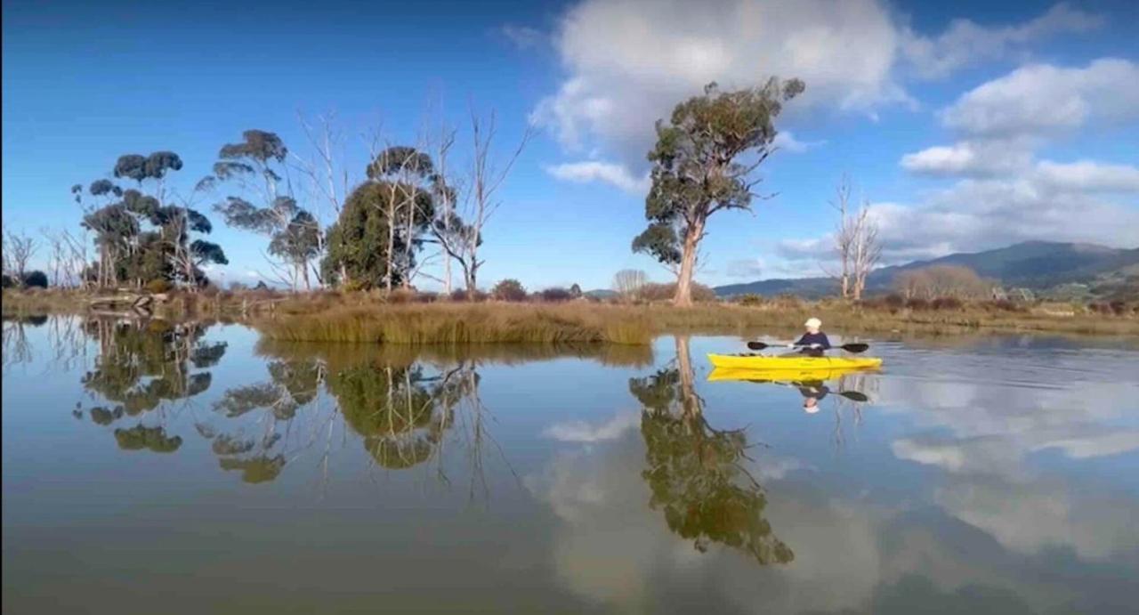 Green Tree Haven Bnb-Riwaka Tasman Bay المظهر الخارجي الصورة